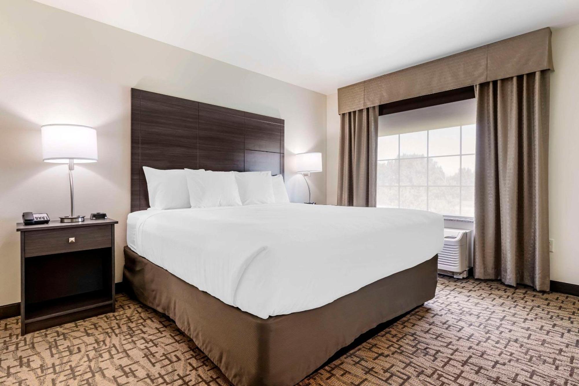 Comfort Inn & Suites Medina Екстериор снимка